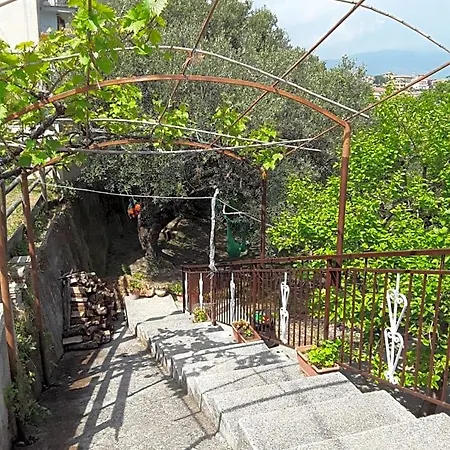 La Collina Su Palinuro 住宿加早餐酒店 琴托拉