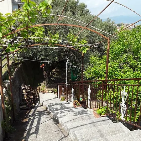 La Collina Su Palinuro Bed and Breakfast 3*