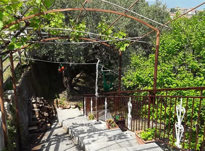 La Collina Su Palinuro فندق مبيت وإفطار 3*